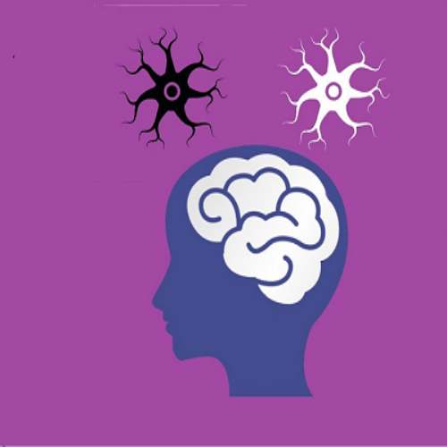 SunText Review of Neuroscience & Psychology