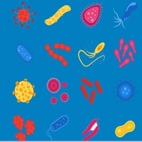SunText Review of Virology