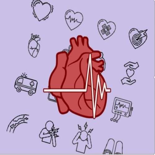 SunText Review of Cardiovascular Sciences