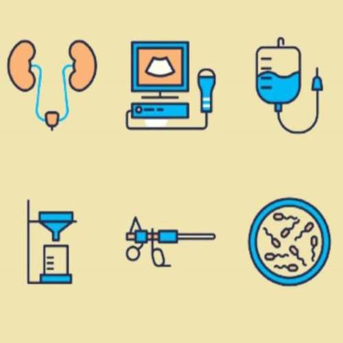 SunText Review of Renal Sciences